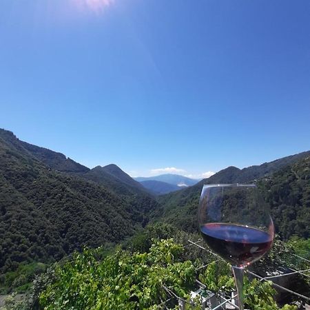 B&B La Locanda Del Cinghiale Aurano 외부 사진
