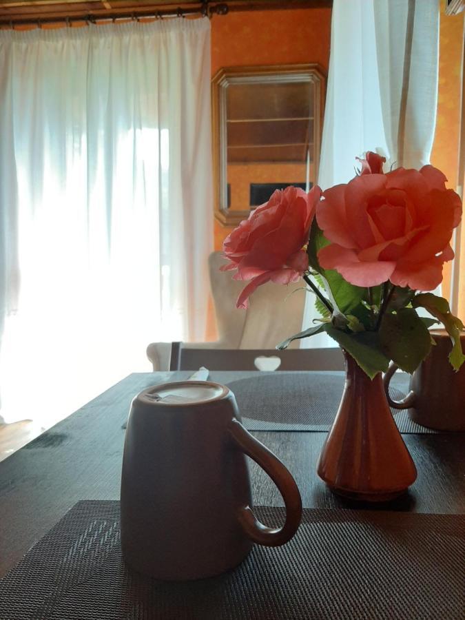 B&B La Locanda Del Cinghiale Aurano 외부 사진