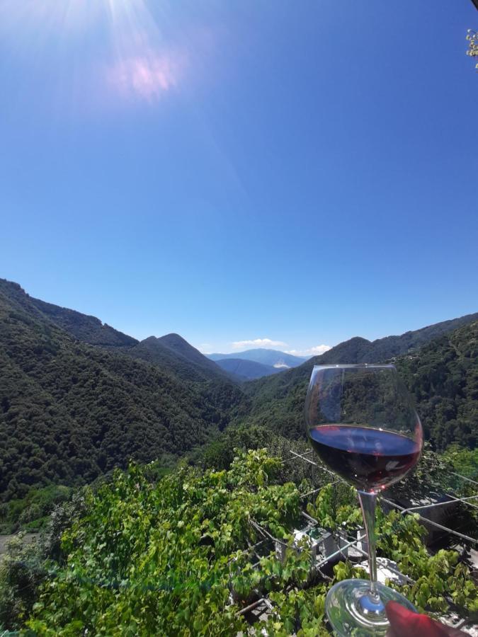 B&B La Locanda Del Cinghiale Aurano 외부 사진