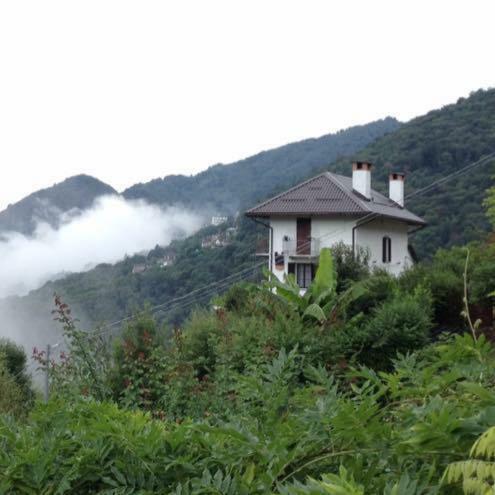 B&B La Locanda Del Cinghiale Aurano 외부 사진